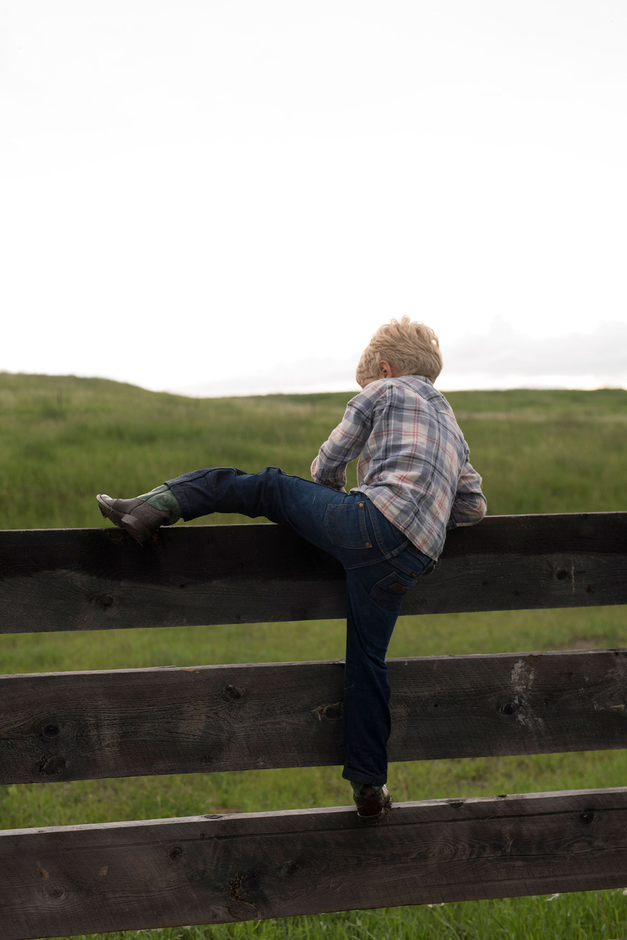 Boy on Fence (1).jpg